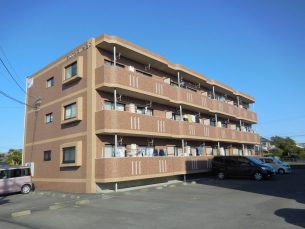 ジェネシス大島（2DK）