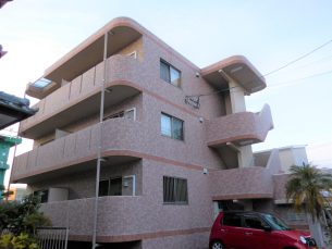 サンライズプラム