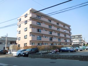 BelloParazzoⅢ（ベロパラ3）