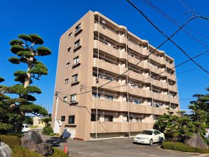サングリーン藤沢Ⅱ（3DK）