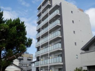 Ko Olina Yanagimaru（コオリナ柳丸）